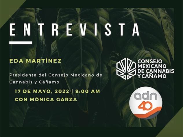 consejomxcc's tweet photo. Acompáñanos mañana #envivo en la entrevista a nuestra presidenta @EdaMart86031114, a partir de las 9:00 hrs por @adn40 con @monicagarzag, hablando sobre la despenalización de posesión de 5 g de #cannabis.

https://t.co/4cnLp0FpXZ

#HablemosDeCannabis https://t.co/XYJW7TVyf7