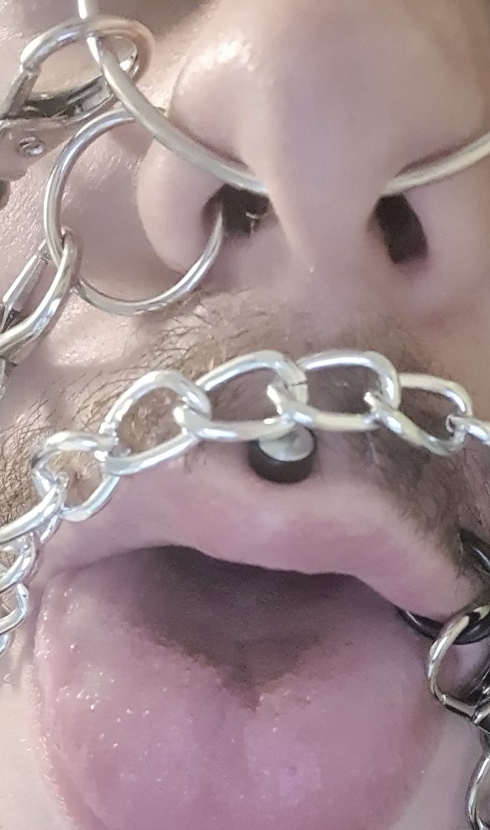 KinkiKid5's tweet photo. Nostrils pulled by nasalring
Drives me completely crazy 

#Nostrils #nosefetish #nosering #pignose https://t.co/4NlxG1ael0