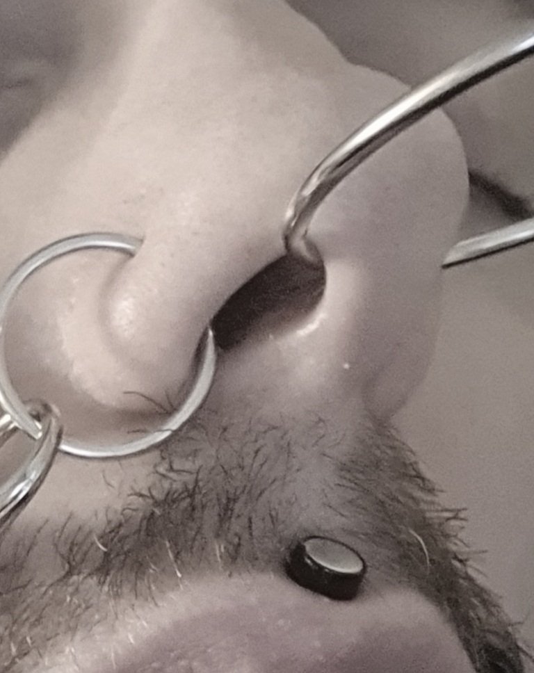 KinkiKid5's tweet photo. Nostrils pulled by nasalring
Drives me completely crazy 

#Nostrils #nosefetish #nosering #pignose https://t.co/4NlxG1ael0