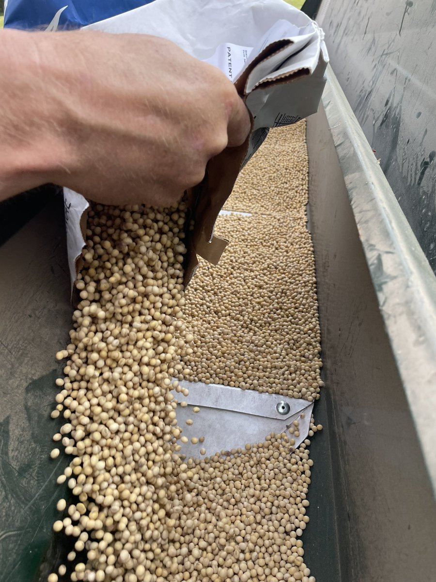 Record_Ranch's tweet photo. Itβs that time of year again. Getting those food plots in. Beans are already popping through! Share in comments what you have going for food plots!
#RBRHunting #hunting #foodplots #plowing #beans #corn #cornfield #cornfields #beanfields https://t.co/3QrXGY3lIf