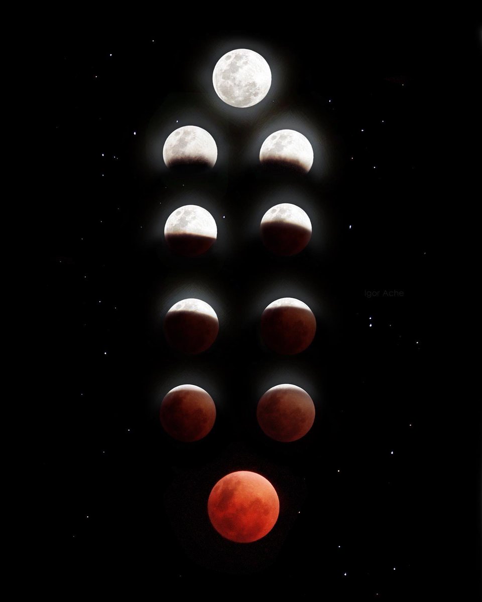 igorache's tweet photo. O resultado da madrugada 🌓🌒🌑 Espero que gostem, deu trabalho ficar esperando a sequência toda 📸❤️ #Eclipse #EclipseLunar #luadesangue https://t.co/rg3zsaor42