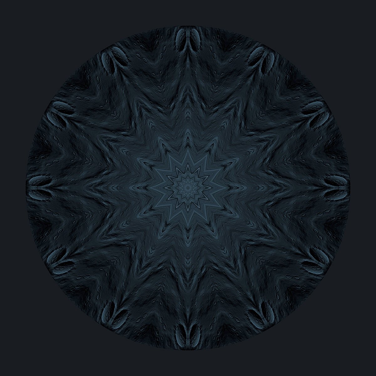 Cryptoportals_'s tweet photo. #044 Negro

https://t.co/nIMbCOKik4

#nft #nftart #nftartist #cryptoportals #artenft #nftlife #opensea #openseanft #nftcollector #nftcommunity #nftmexico #gicleeprint #giclee https://t.co/mf5PYqLQ2f