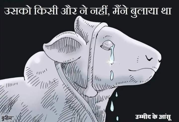 BalbirMandal2's tweet photo. मतलब सर्वे न होता तो न जाने कब तक उस गंदे पानी में पड़े रहते।

वैशाख पूर्णिमा के पूर्ण दिन प्रकट भए भोलेनाथ।

आप सच्चे थे नंदीबाबा आज बाबा आपको भी मिले और जगत को भी!!

यह पूर्णिमा भी अमरत्व को प्राप्त हुई।

#ज्ञानवापी_मंदिर 
#ज्ञानवापी_में_शिवलिंग 
#हर_हर_महादेव 🙏 https://t.co/naqyTCzXqY
