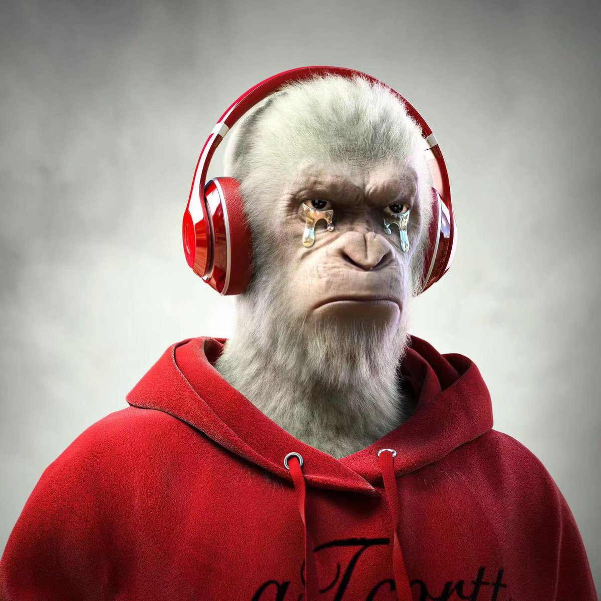 最近火起来的凯撒猿！项目团队是做游戏的，NFT质量非常高！

现在抽取3位朋友

NFT直接空投到钱包，目前地板0.043，价值100usdt左右。5.21号开图，届时项目方会宣布持有NFT 的权益和路线图！

1⃣
<a href="/plurapeclub/">PLUR</a>
+
<a href="/HM010169/">币圈荒木</a> 

2⃣加入DC：discord.gg/nXQ3RQHstE
3⃣点赞转发就行(无需@好友)

48h