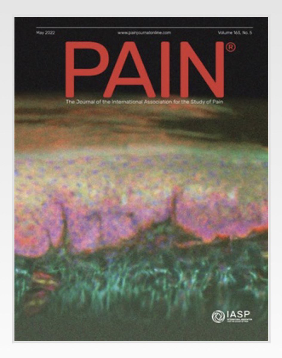 INTiDYN's tweet photo. Very pleased to continue validating  #Cannabinoid research findings and 
to have an INTiDYN image featured on the recent cover of @PAINthejournal.
@TiffanyKary https://t.co/pV28xwS8kD