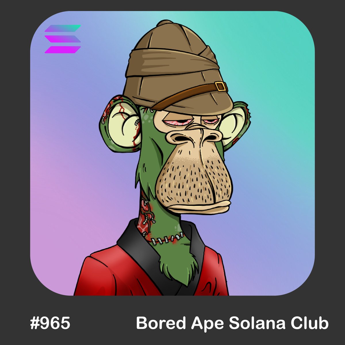 Bored Ape Solana Club tweet media