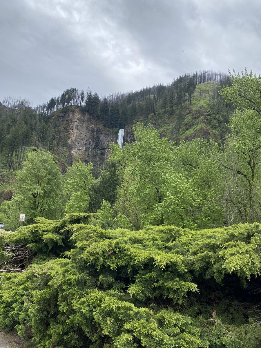 Antriksh (Yoda) #hardwear_ioNL2025 tweet media