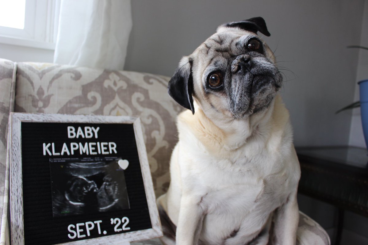 avaldez's tweet photo. Baby Klapmeier coming September 2022 😊 https://t.co/AniQJxpGlP