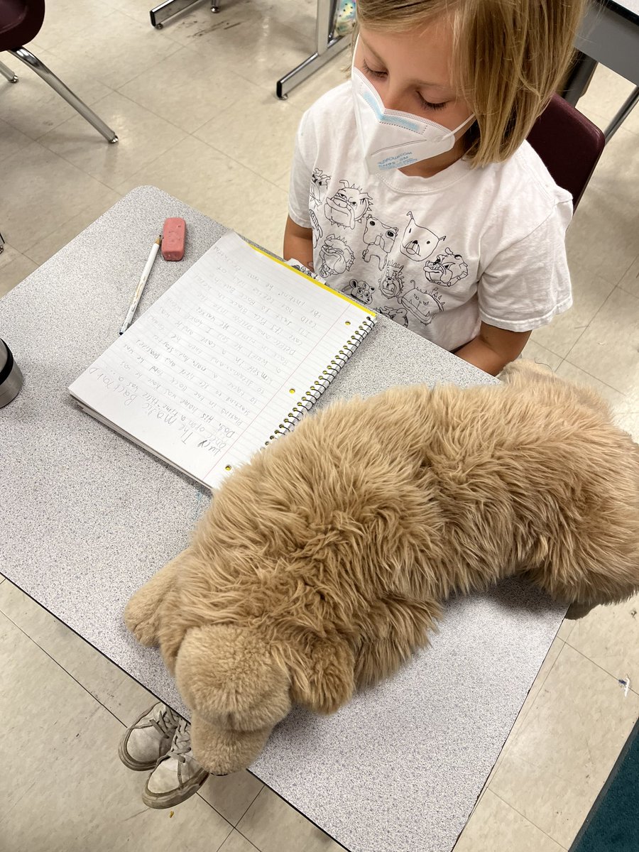 BloomMsDavis's tweet photo. You all!!!! Stuffed animal day was a HUGE success with some AMAZING writing pieces! I was blown away 🤯😍 ✍️ #bloomingauthors @BloomBulldogs @inbloomlibrary https://t.co/D8g8p6TrwE