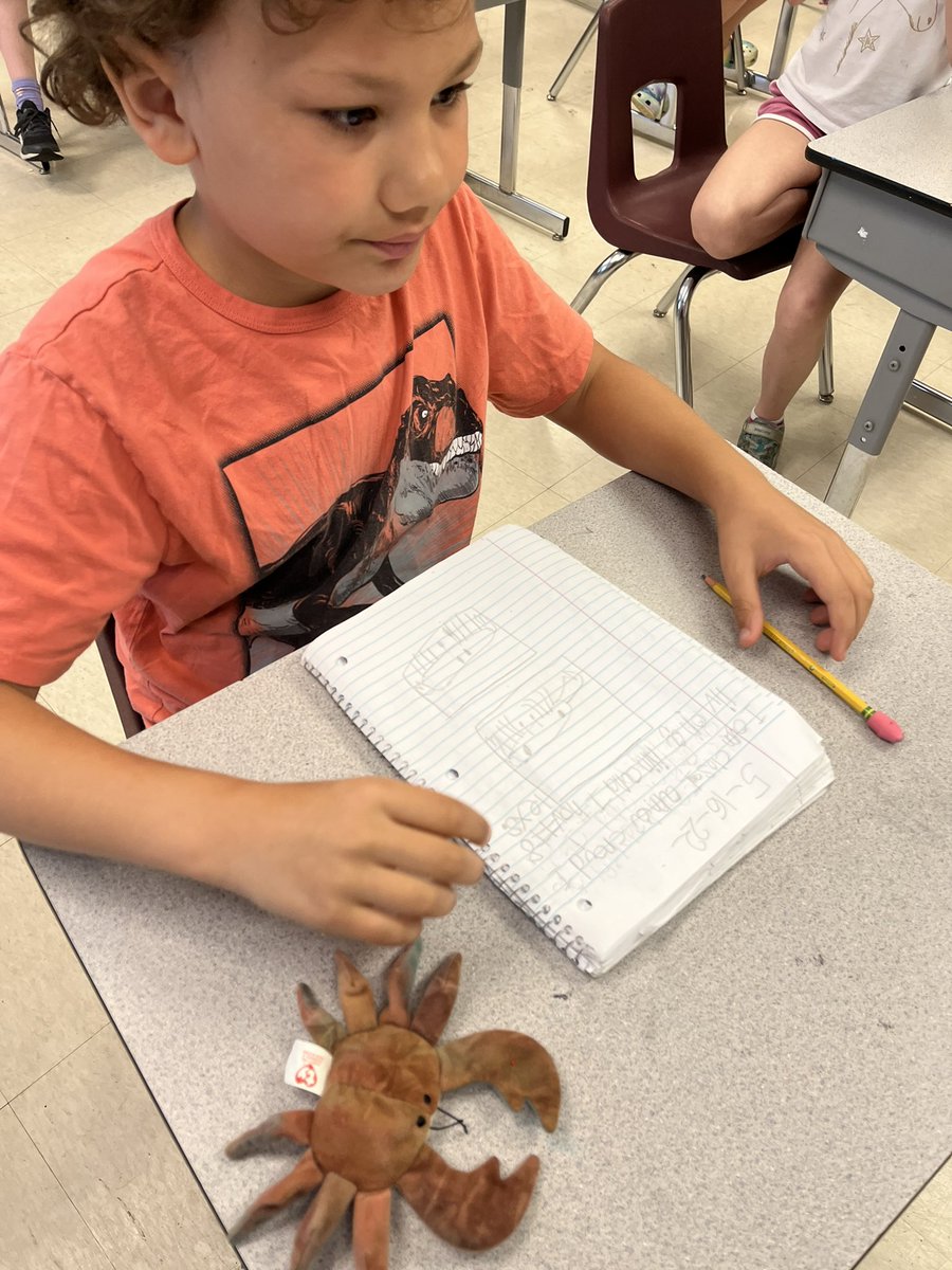 BloomMsDavis's tweet photo. You all!!!! Stuffed animal day was a HUGE success with some AMAZING writing pieces! I was blown away 🤯😍 ✍️ #bloomingauthors @BloomBulldogs @inbloomlibrary https://t.co/D8g8p6TrwE