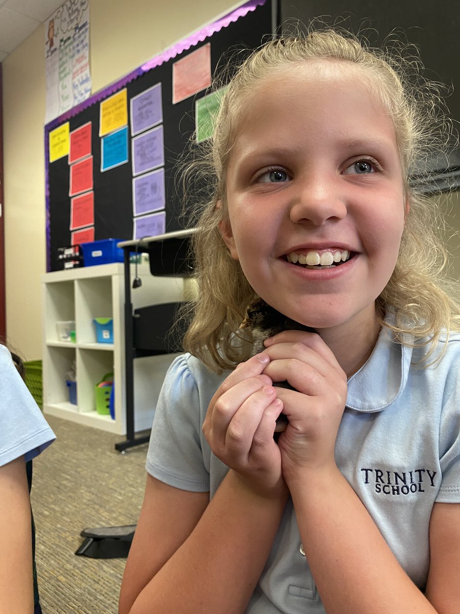 Overly4thgrade's tweet photo. We absolutely loved our visit with the CHICKmasters from @shauncmccarthy Kindergarten class. We learned so much and had a morning full of chick cuddles. #trinitylearns https://t.co/dCG4fnT1z4