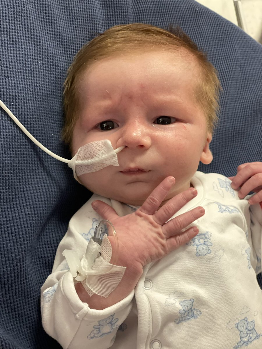 pmcenter12's tweet photo. Little man is 1 month old! https://t.co/6mnuPMPYdx