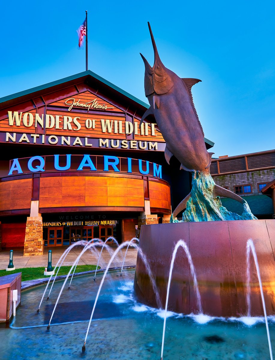 RCRracing's tweet photo. Help our friends at Johnny Morris’ @wondersofwildlife earn the title of @USATODAY's best aquarium in America!

Vote daily at https://t.co/L1KLkZ5A83

#VoteWOW | #WOWAquarium https://t.co/TgroHzODXD
