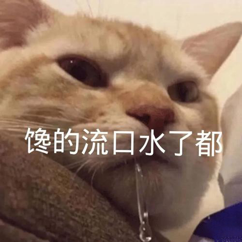 text0051's tweet photo. @bunnywxd https://t.co/dE0q02g7Ok