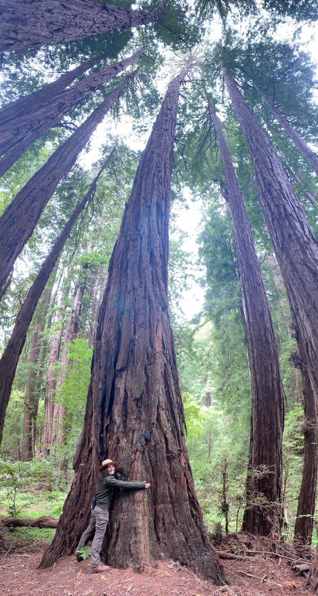 Did you know today is #HugATreeDay? From our trees to yours, we hope you have a wonderful holiday. 

#HugATree #HugATreeDay #EncuentraTuParque #FindYourPark