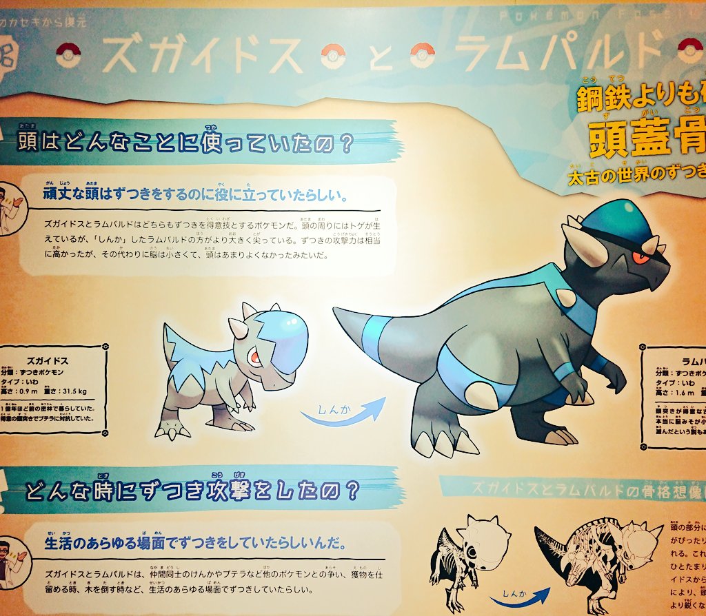 大好きなパキケファロサウルスもいた………!!!可愛い。しばらく、ここから動けなかった。とにかく面白いので、子どもたちはぜひ夏休みに行ってくれ☺️ 