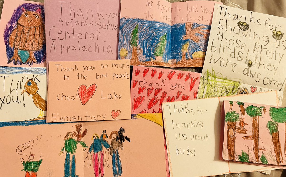 Avian Conservation Center of Appalachia tweet media