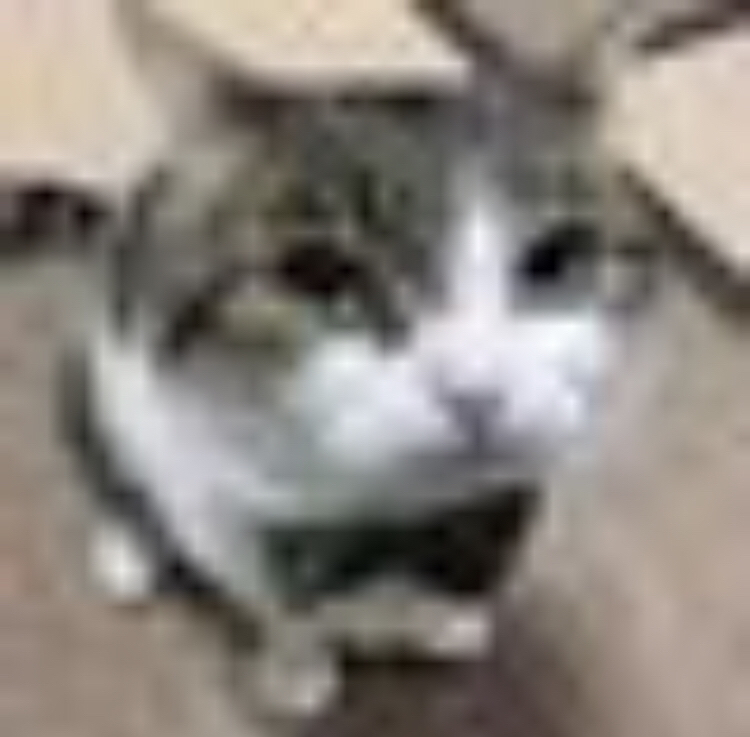 ITSimulator1 tweet picture