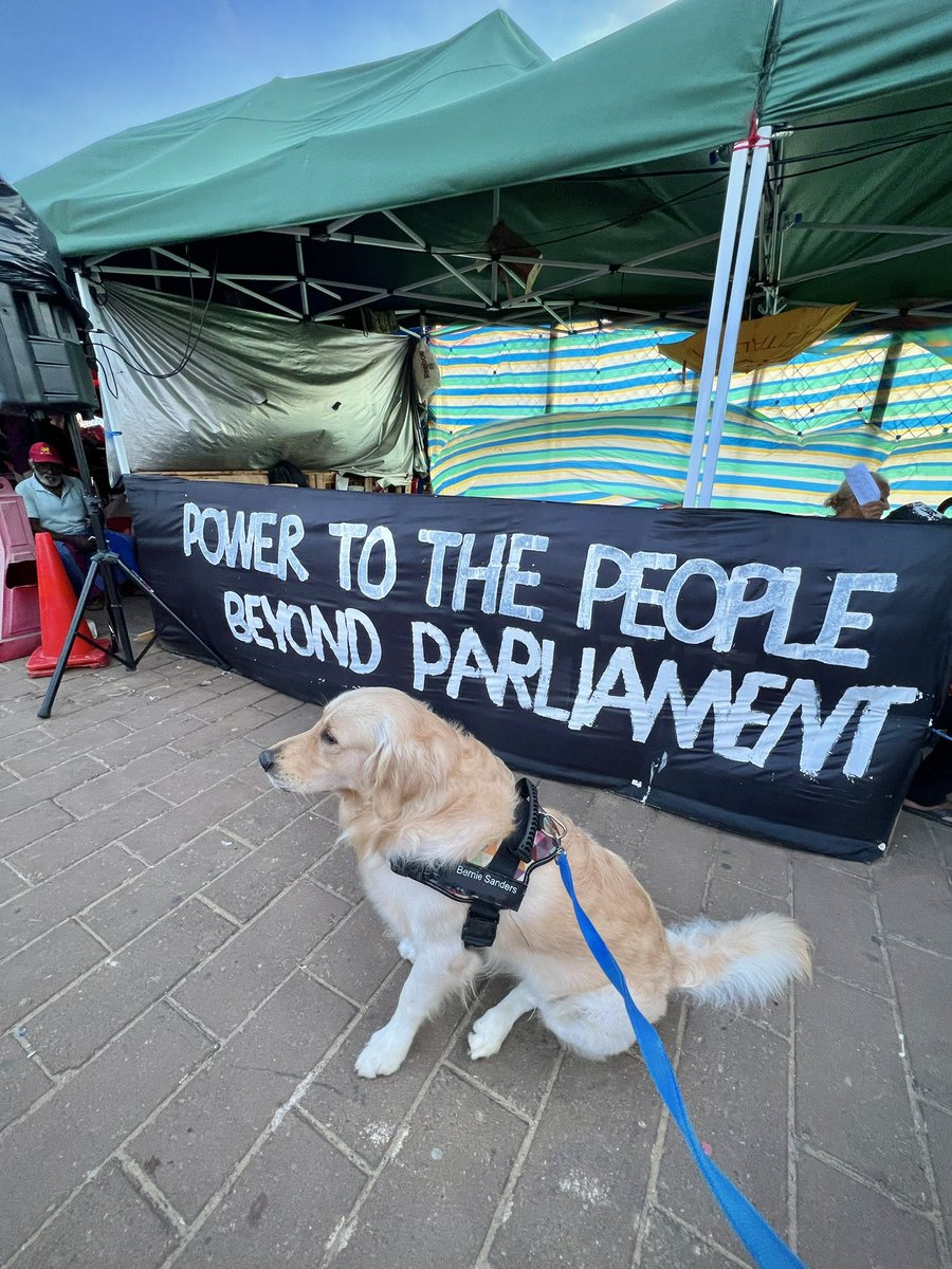 ThyagiR's tweet photo. We went we saw we listened we took part, because we must 💪🏾🦮

#GotaGoGama #DogsofTwittter @PetsAgainstgota https://t.co/Bihxeftc63