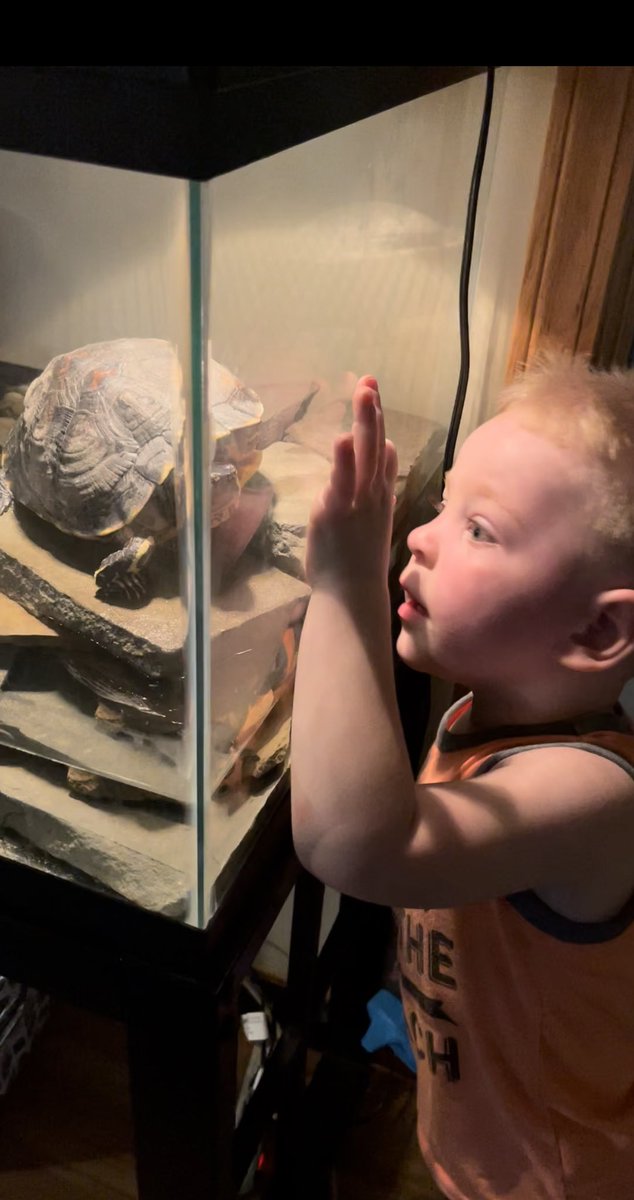 RobinWaers's tweet photo. Innocence and wonder 💙 https://t.co/frh3RixLTj