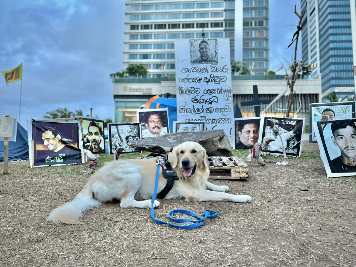 ThyagiR's tweet photo. Supporting the hoomans’ struggle 📣 https://t.co/5Hx1a9sdF4