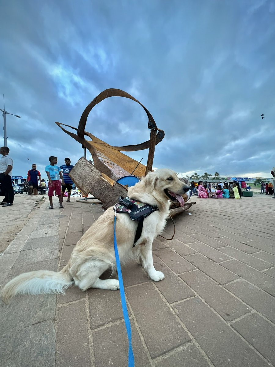 ThyagiR's tweet photo. Supporting the hoomans’ struggle 📣 https://t.co/5Hx1a9sdF4