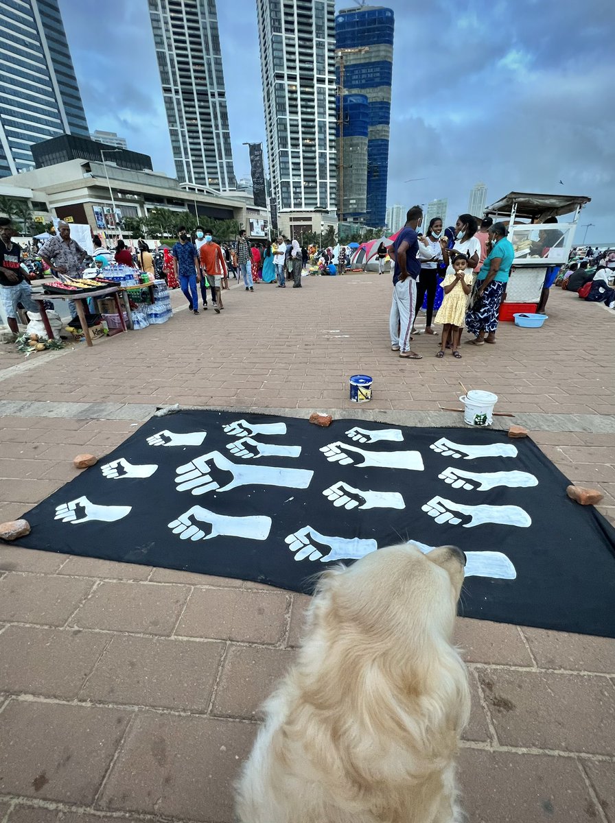 ThyagiR's tweet photo. Supporting the hoomans’ struggle 📣 https://t.co/5Hx1a9sdF4