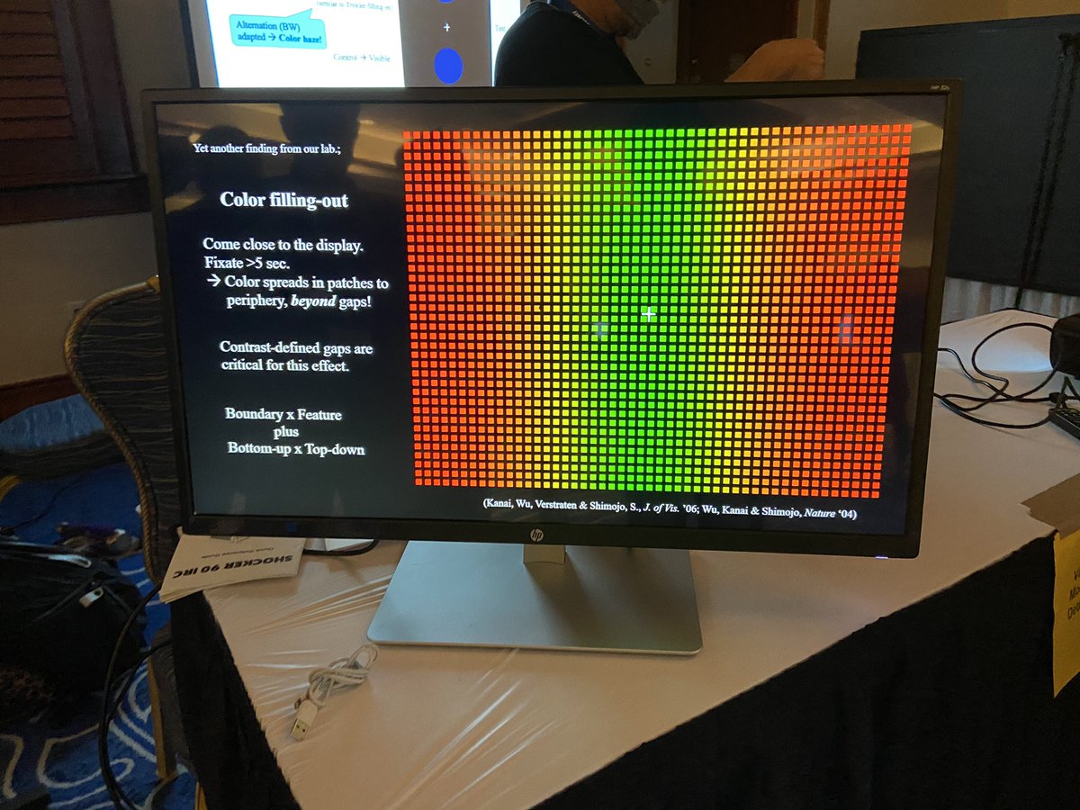 Demo night at #VSS2022 -  the Troxler effect, saccade suppression, the McGurk effect and many more!