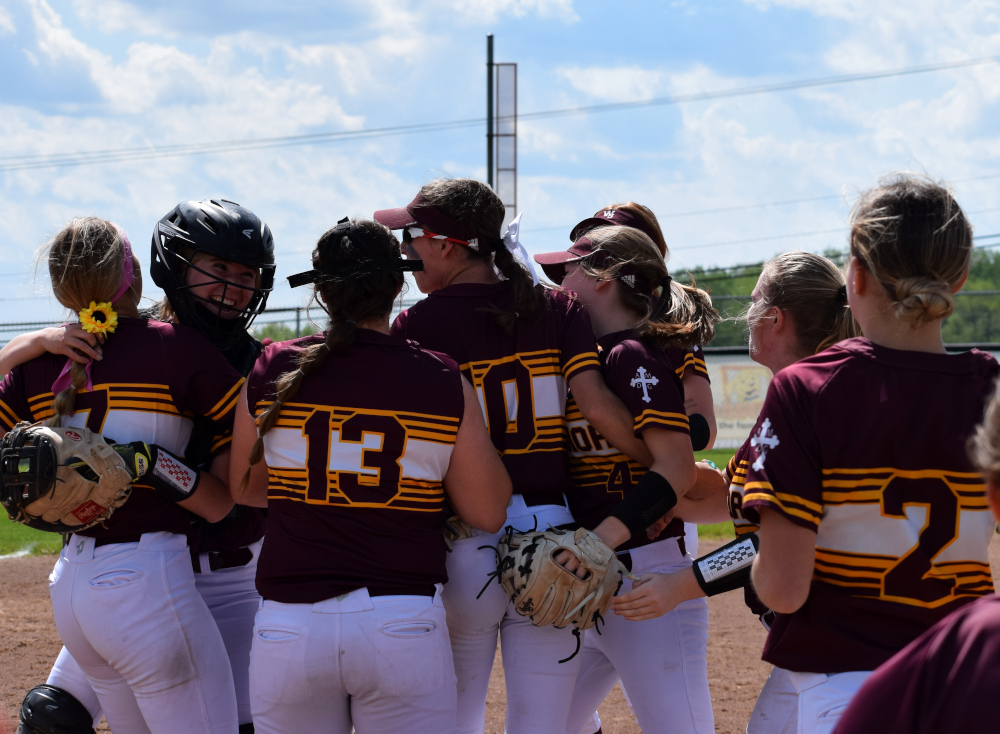 Walsh Jesuit Softball tweet media