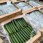 東京最大の青果市場で今日1日で廃棄されるお野菜はこれだけあった!