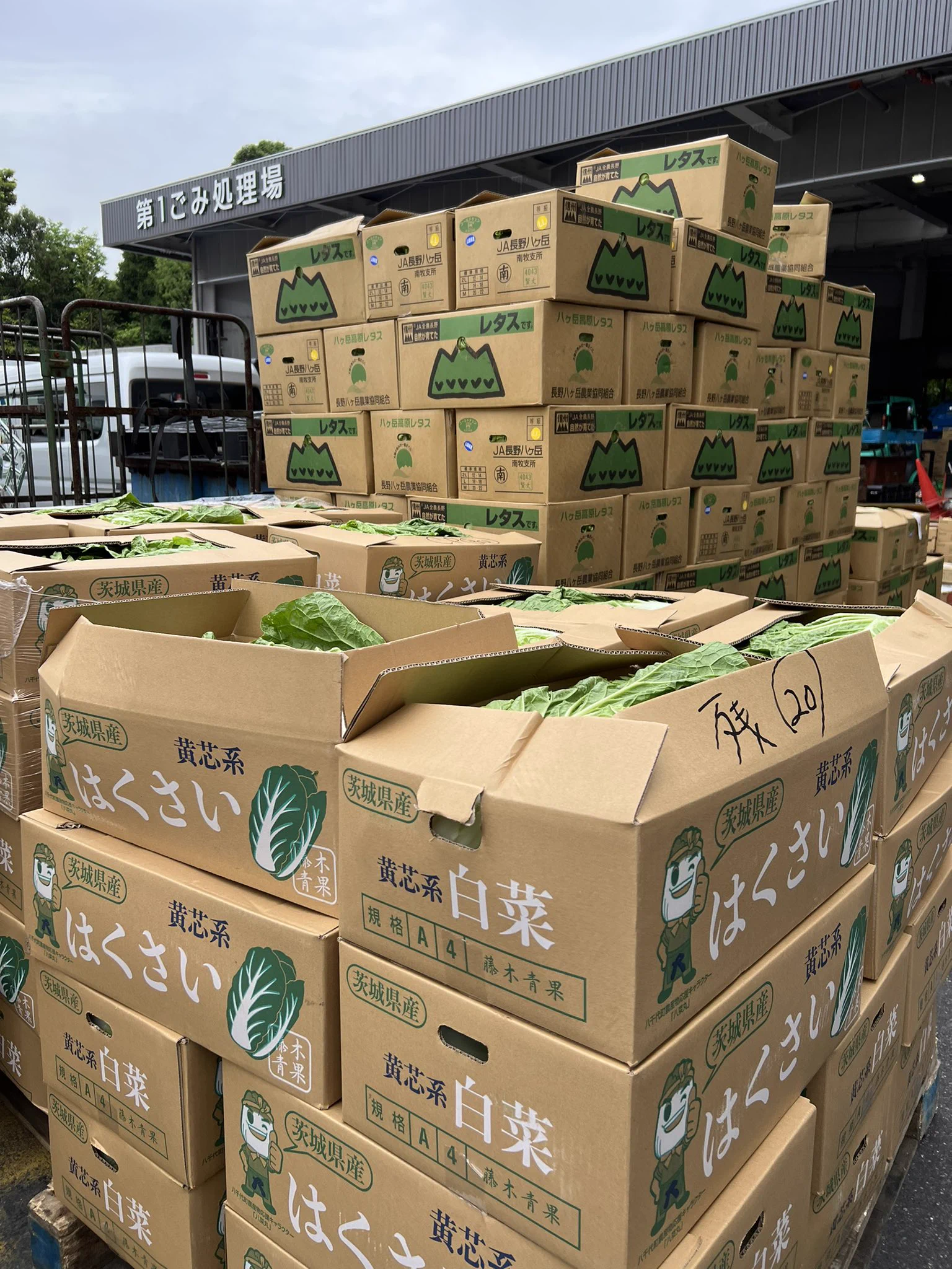 東京最大の青果市場で今日1日で廃棄されるお野菜はこれだけあった!!