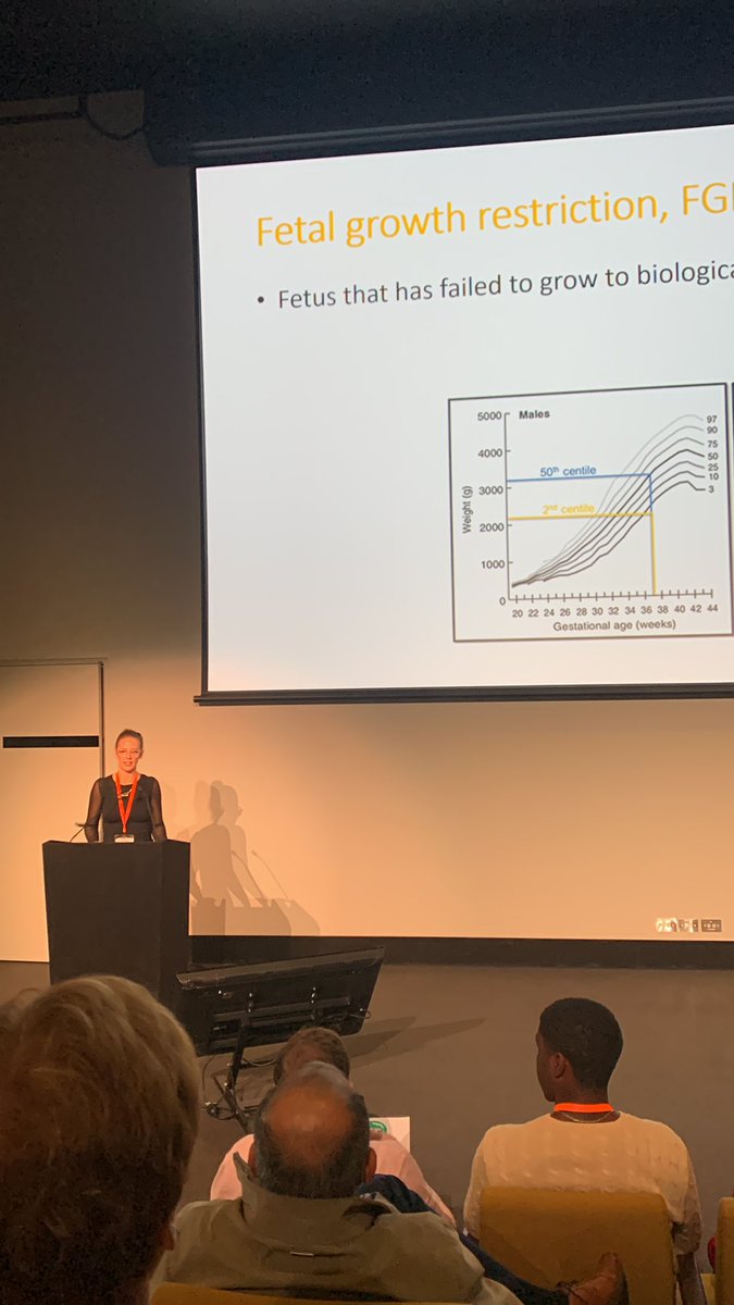 Beth Allison (she/her) tweet media