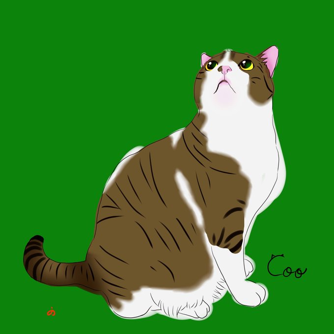 猫イラストのtwitterイラスト検索結果 古い順