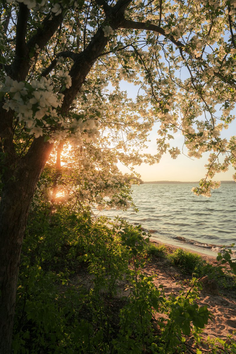 _thecolorfulkid's tweet photo. Sunset at Picnic Point ✨ https://t.co/95gfMIFEuc