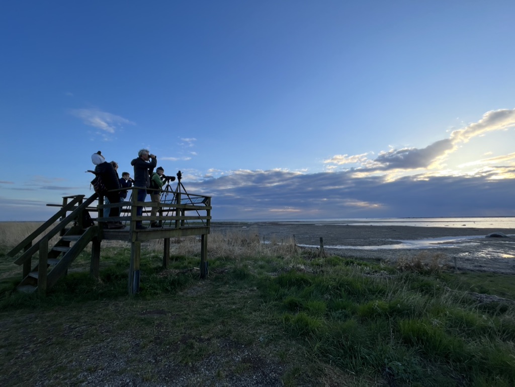 BobMuscarella's tweet photo. A wonderful #EcologicalMethods field trip to @StationLinne in Öland, Sweden @PlantEcoEvo_UU https://t.co/BQoPiiwfe4
