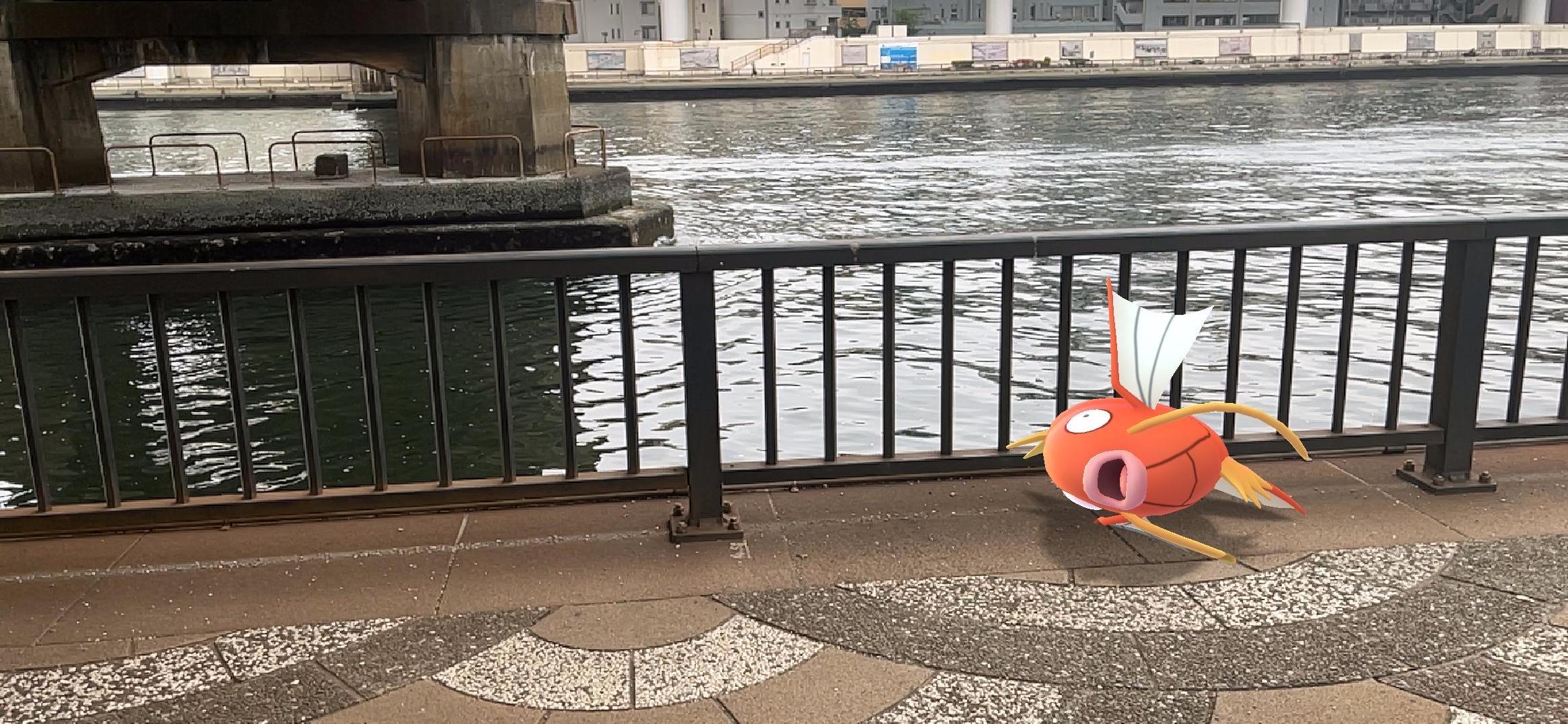 Pokemon Go Japan 5月の スポットライトアワー は 毎週火曜日 日本時間18時から19時まで開催されます 5月17日 コイキング ポケモンが進化した際に獲得できるxpが2倍 ポケモンgo T Co Bah1fxaowd Twitter
