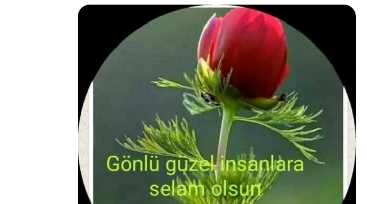 Beyazorap3's tweet photo. Selamu aleykum yerin ve Göğün için dekini varedene İmanedenler sabahınız #Hayırolsun #görelim #Neyler #hakşerleri #gayreylerneylerse #güzeleyler .AMİN https://t.co/g1VhUWImbz