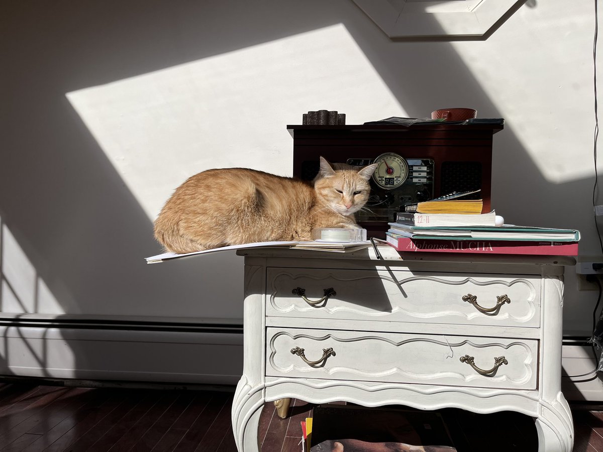 I’m not really a post pictures of my cat kind of guy, but I feel like the physics here needs to be shared.