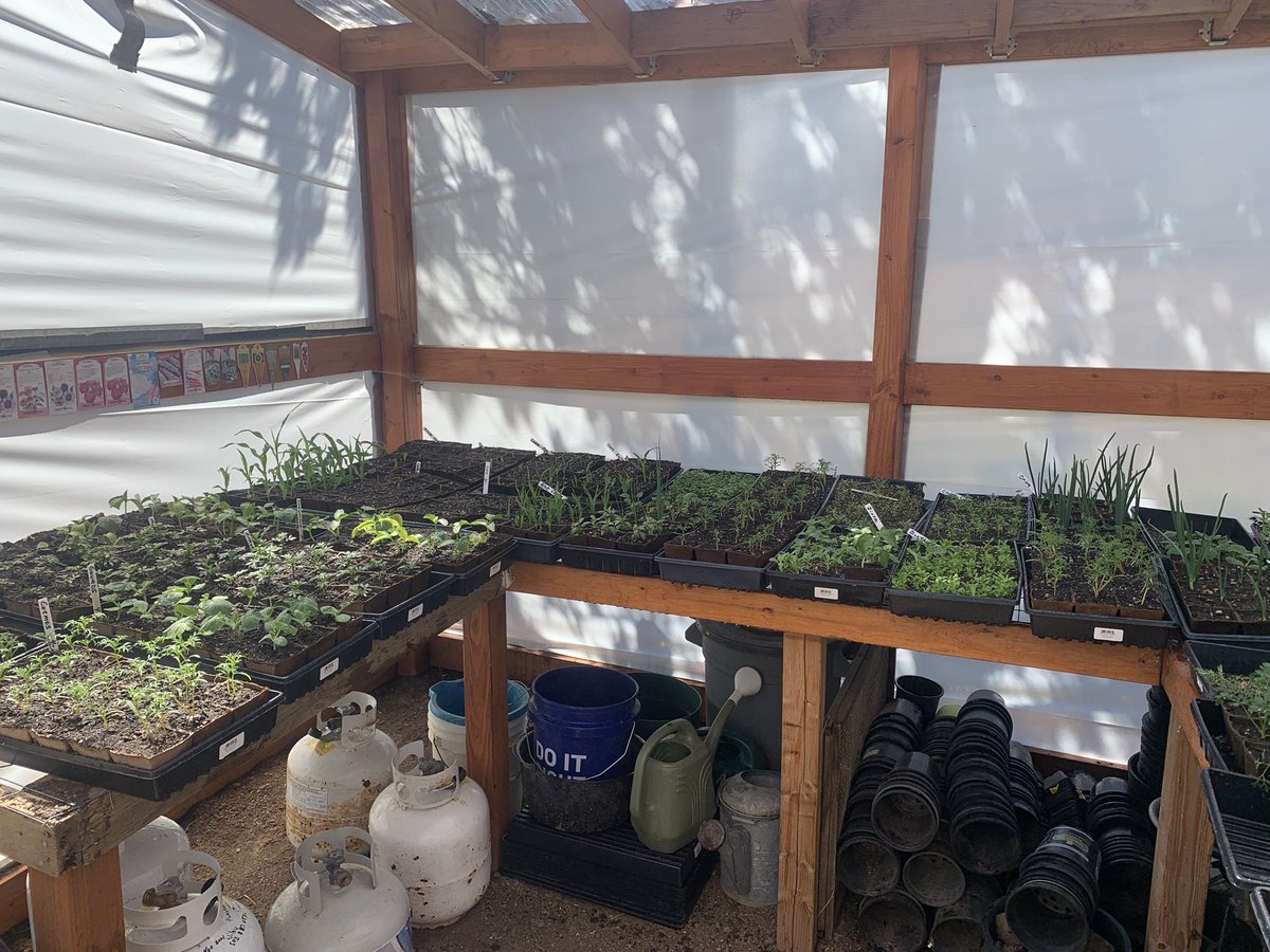 BackyardPrep tweet picture