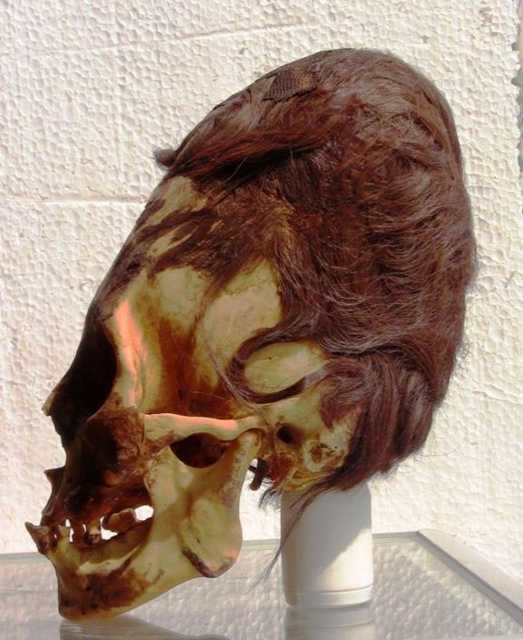 RT @lastrealhumans: One of the mysterious red haired elongated skulls of Peru https://t.co/waMGofn6TT