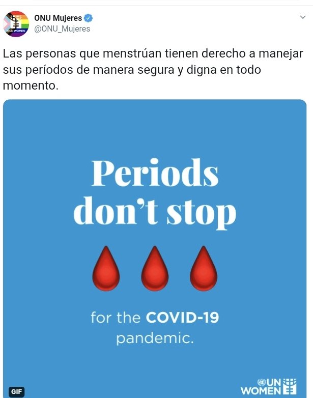 María Alejandra Díaz Marín🐞🦗🦎🐝🐜 tweet media