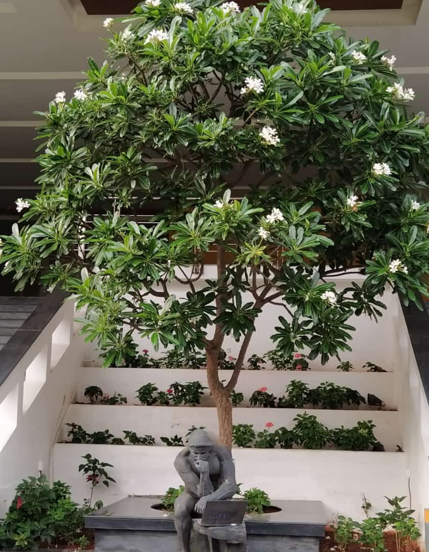 profgrsinha's tweet photo. Thinking-Learning Process under Holistic Ambience/Environment produces Wonderful Results/Outcomes
Pic courtesy @IIITB_official
#thinking #leraning #learningoutcomes #IIITB @AICTE_INDIA @ugc_india https://t.co/BwCAUgnx6g