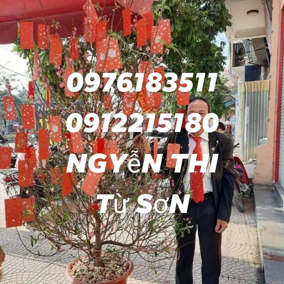 phongtm9's tweet photo. Bots từ  sơn .  Thích em đó  làm  gì  cũng  đc . https://t.co/gXWikWbgX4