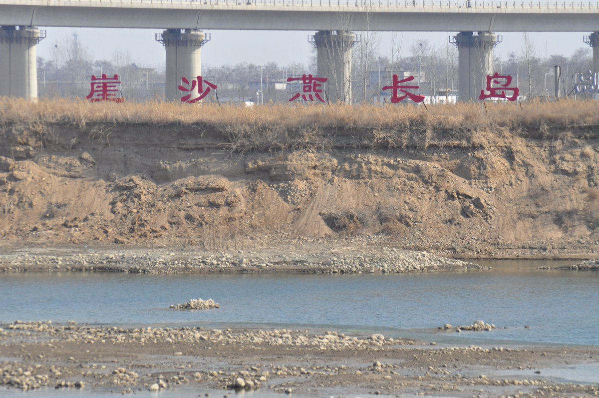 WAOSD_2408's tweet photo. This is the 3rd yr for our #conservation of #migratorybirds Sand Martins in #Shijiazhuang, #Heibei , w/ 4 new-found breeding #habitat
Pics're the landscape conserved w/ the #Investment from #localgov
#birds #wildlife #ForNature
@BonnConvention @WMBD
@DingliLaurent @numenini https://t.co/iRa54DQ4cX