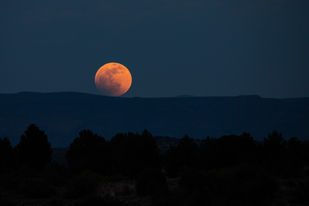 schlarmage's tweet photo. Rising blood moon over Coconino National Forest, AZ, USA.  May 15, 2022. 📷 schlarmage.

#bloodmoon #lunareclipse #sedona #hikingsedona #hikingculture #moon #astronomy https://t.co/Am0PXhGSY0