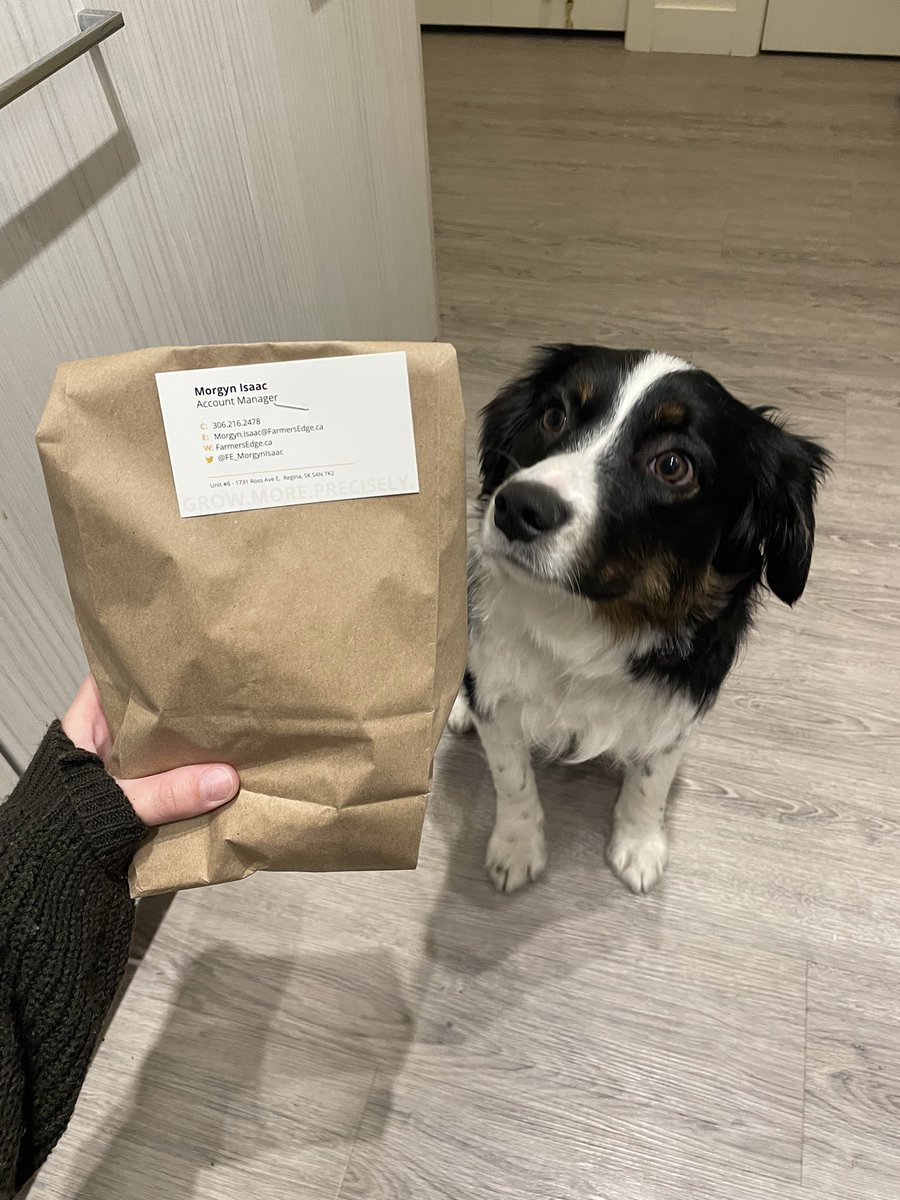 Bax and I can’t wait to drop off some snacks in the fields for our farmers tomorrow! <a href="/farmers_edge/">Farmers Edge</a> #FarmDogBax