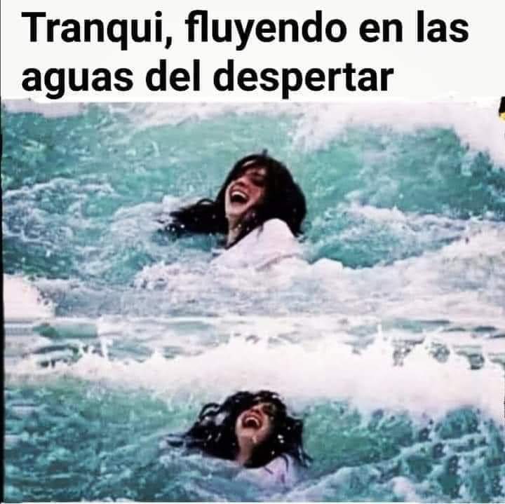 Marcelahabibi's tweet photo. Así tranquila https://t.co/CrLCSqLmPY