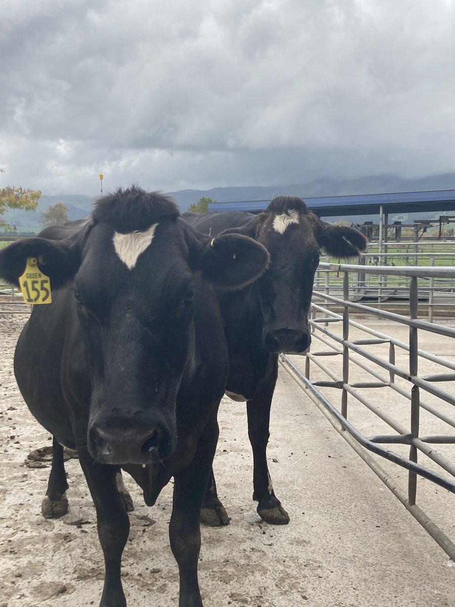 Top 50% farmer tweet media