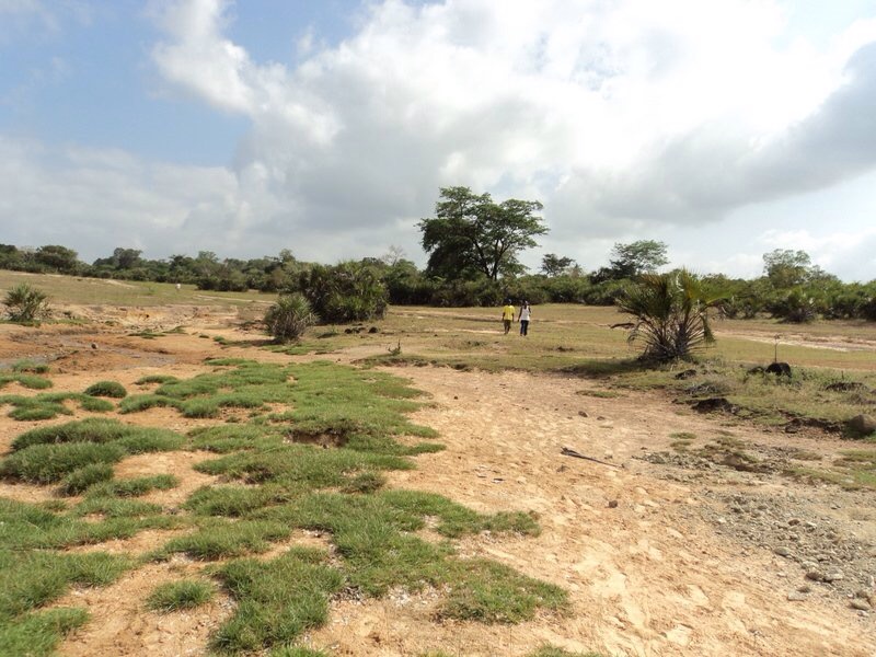 Maganakenyatta's tweet photo. Good morning. Hit me up for your property enquiries.
Mature Cashew orchard at MajiMoto, @OurKwaleCounty measuring 5.4 acres is on the market for Kes. 9.5M.
A natural hotspring borders the property. #geologicalMarvel https://t.co/oPy9QtJODA