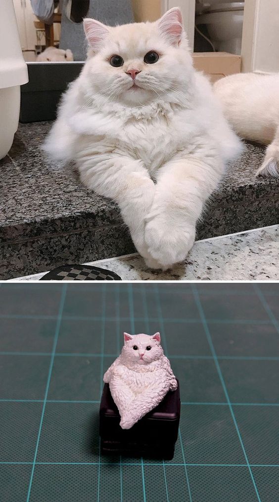 JLC_Studio's tweet photo. Japanese Artist 😘😘

Special! Sticker Line Cat Daily Life Series. Easy to use in your daily conversations with friends.
Here https://t.co/XMNivnIjnA

#cat #cats #kitty #kitten #funnycats #funniestcats #cutecats #cutestcats #catoftwitter #catheaven #catdailylife https://t.co/2y8wujy1MZ
